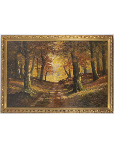 Grand paysage de forêt en...